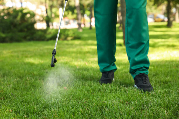 Professional Pest Control in Cobb Island, MD