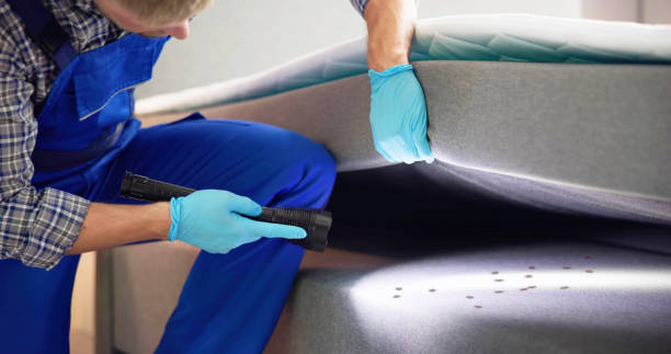 Best Termite Control Services  in Cobb Island, MD